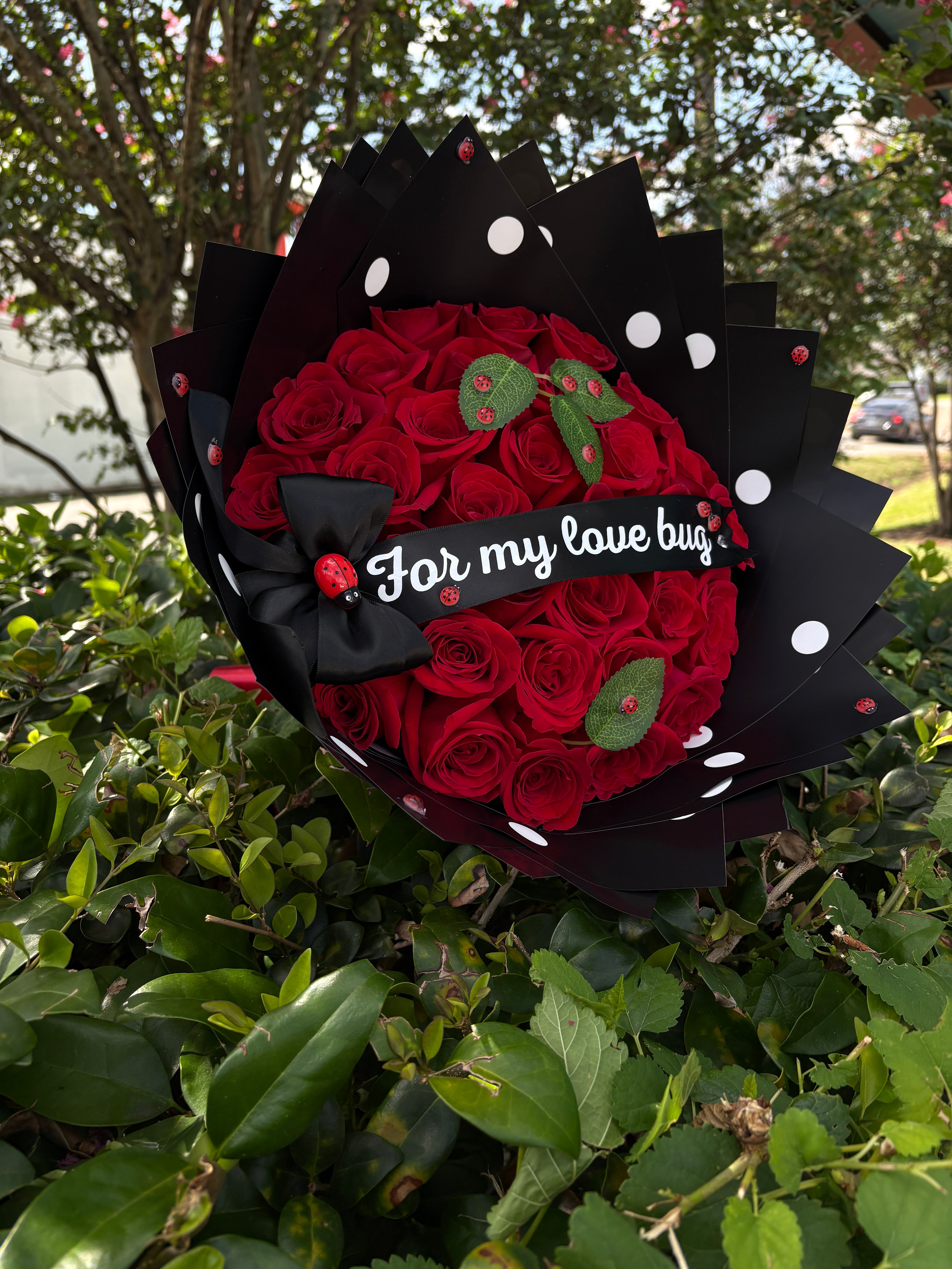 30ct For my Love Bug🐞❤️ polka dot wrapped