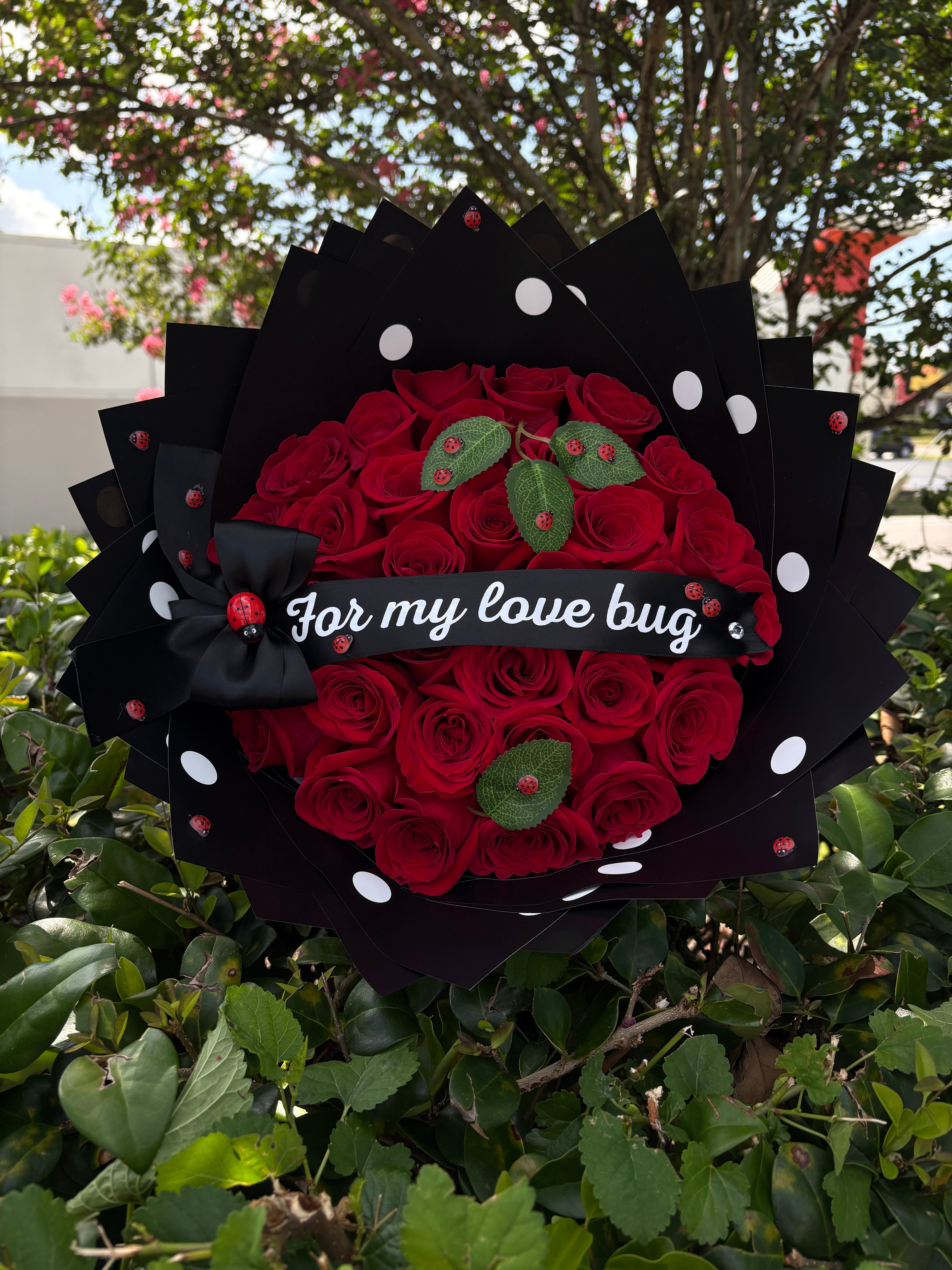 30ct For my Love Bug🐞❤️ polka dot wrapped