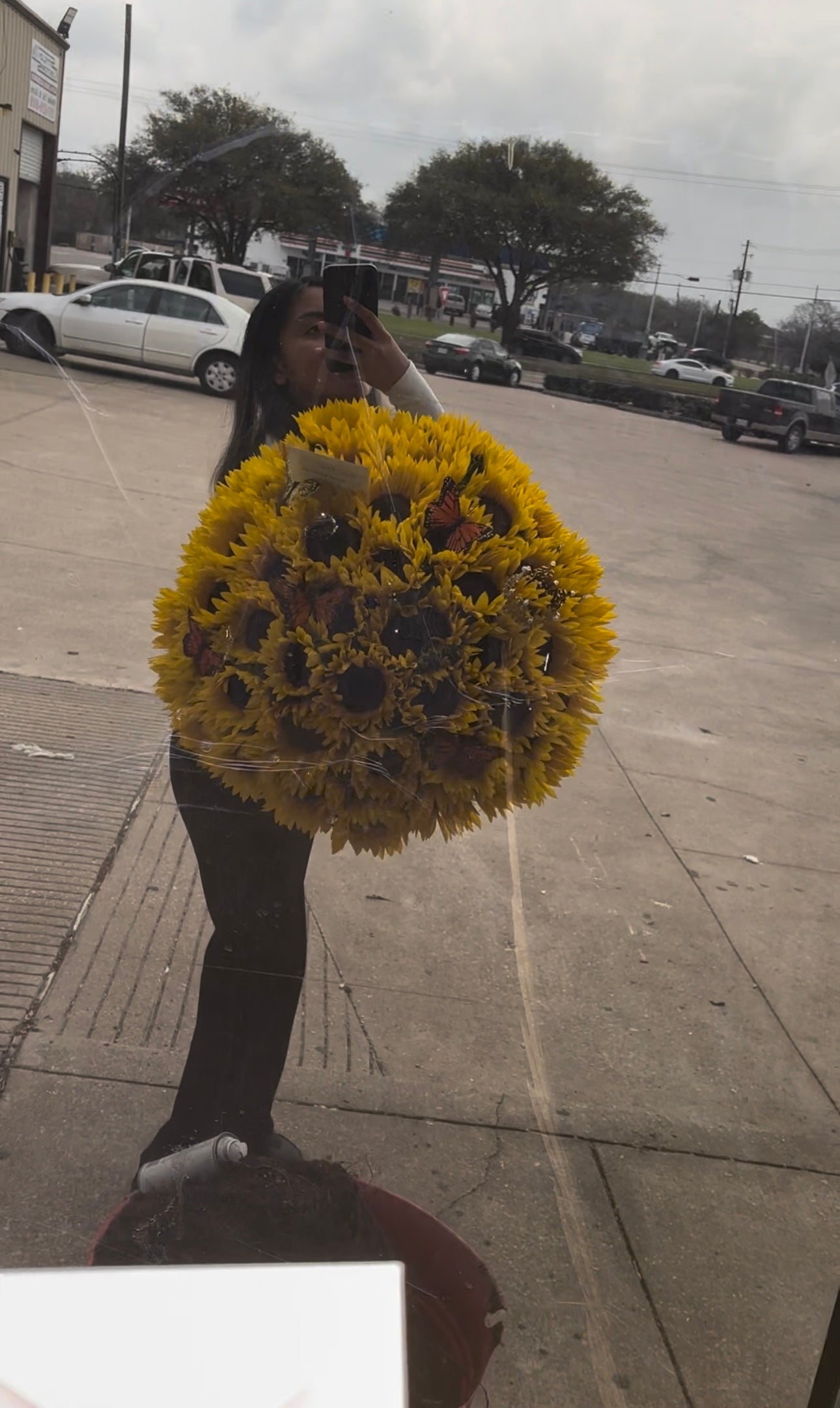 50 sunflowers elegant stems π