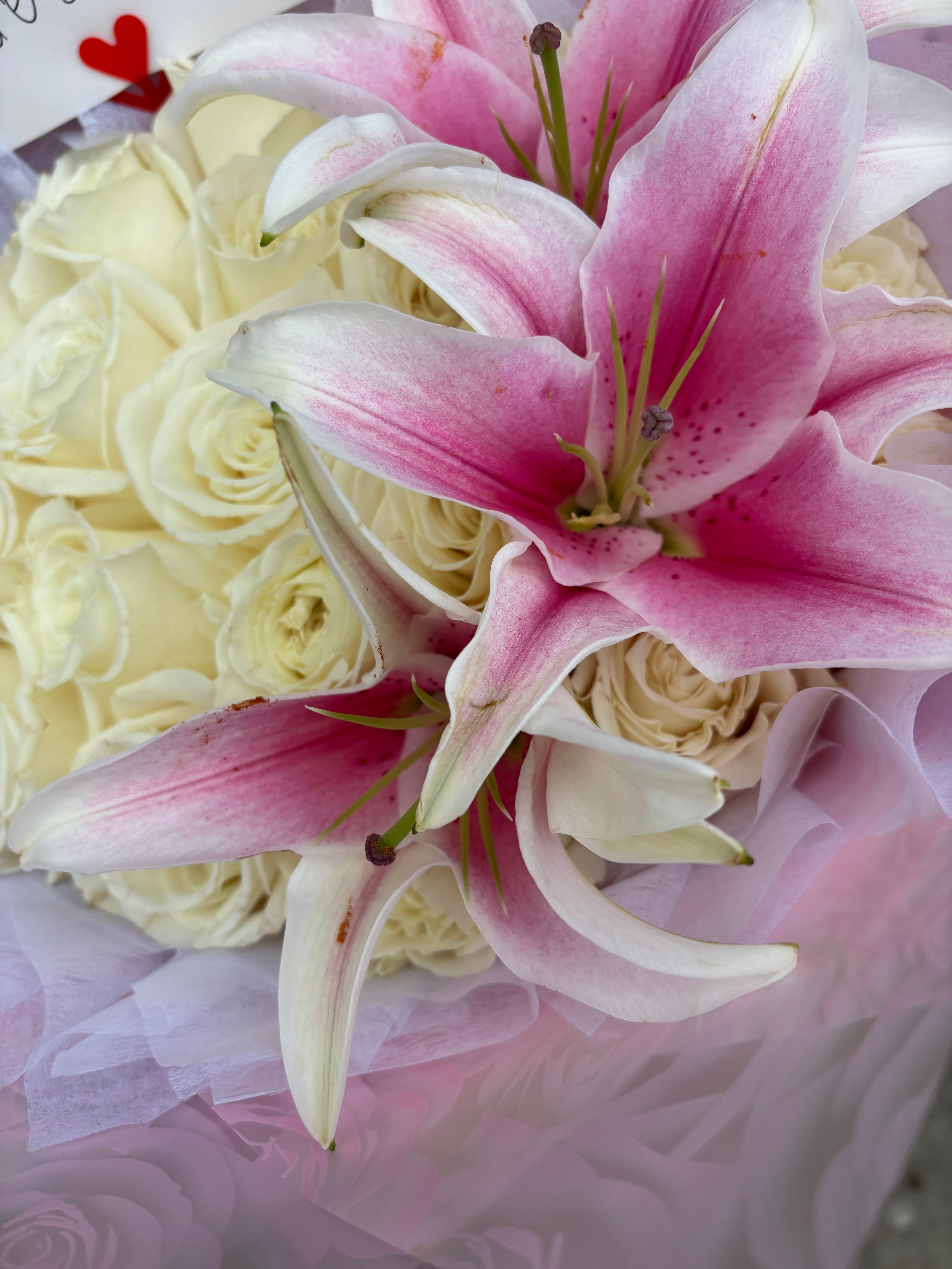 20 Roses + Lilyโs ๐ธ๐