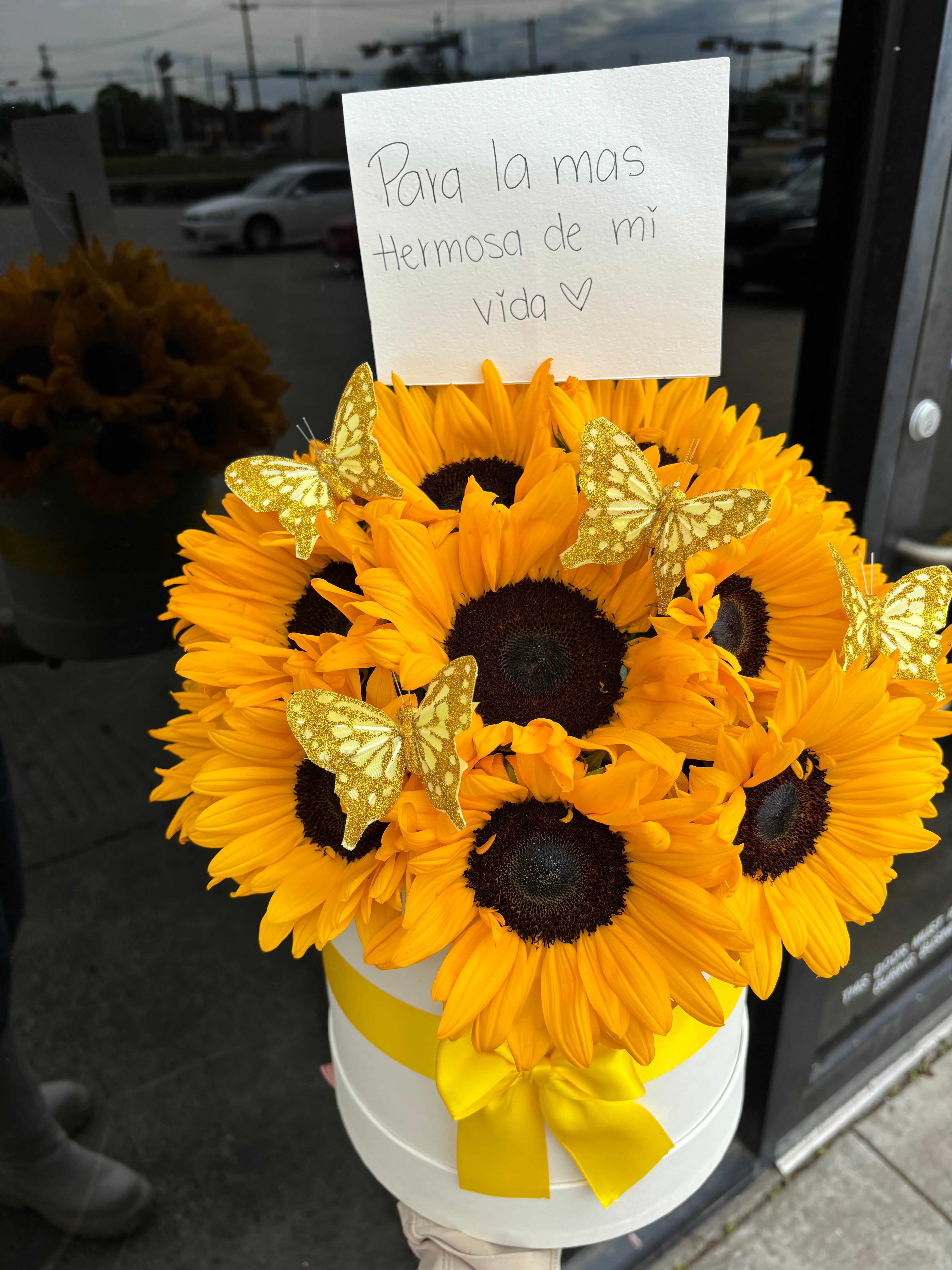 You are my sunshine world 💛🌻