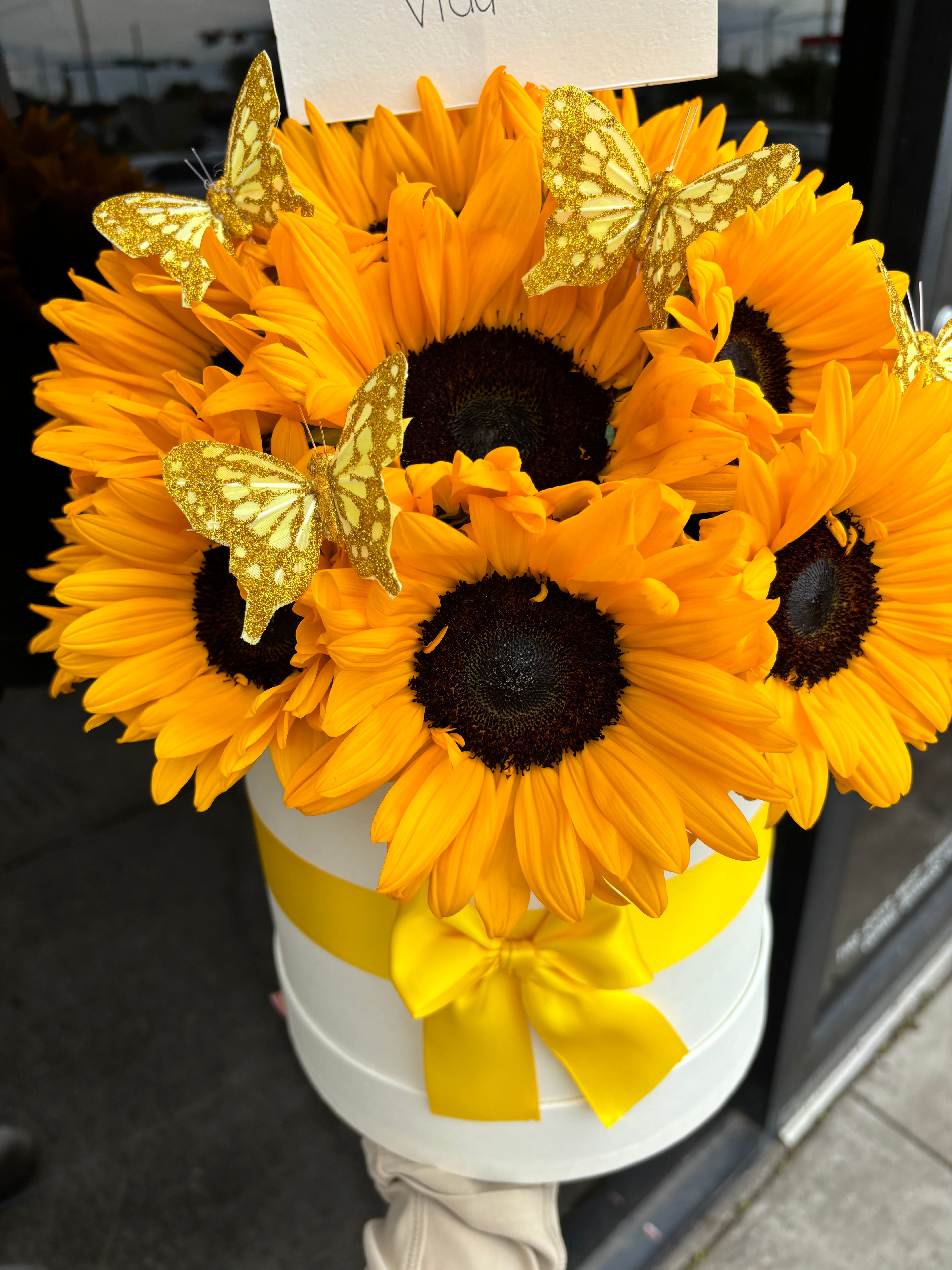 You are my sunshine world 💛🌻