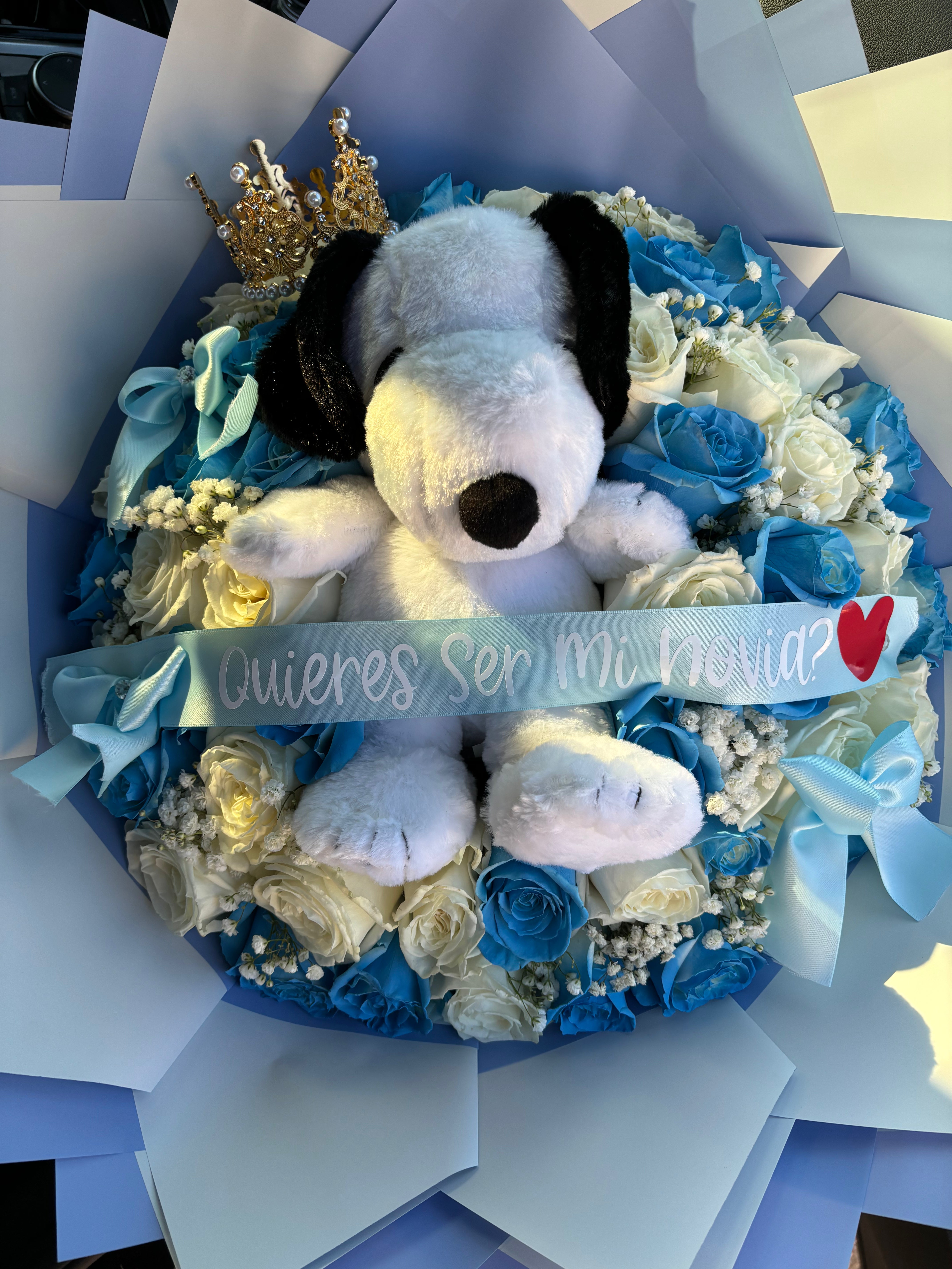 50 rose snoopy bouquet for my princess ✨