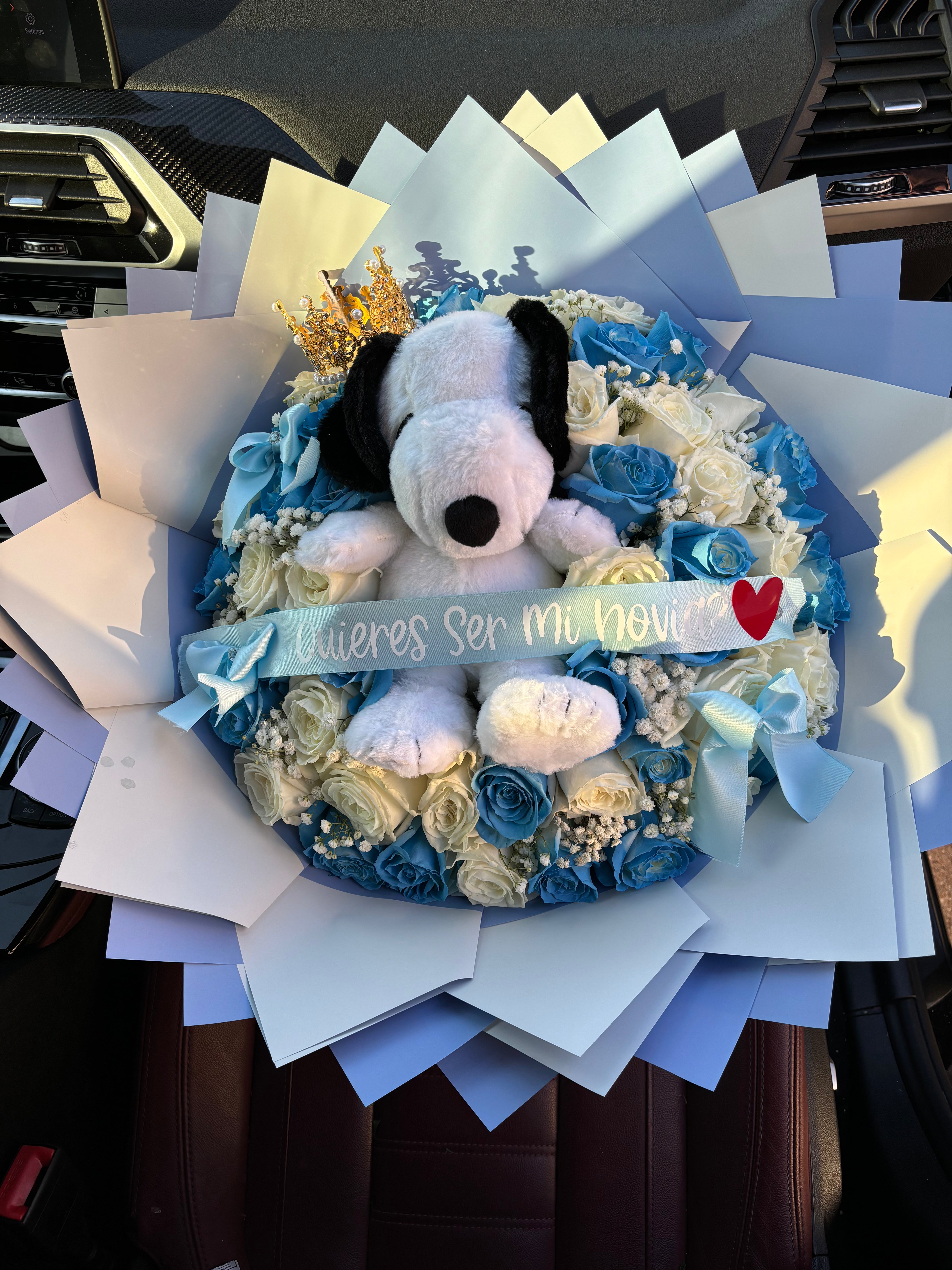 50 rose snoopy bouquet for my princess ✨