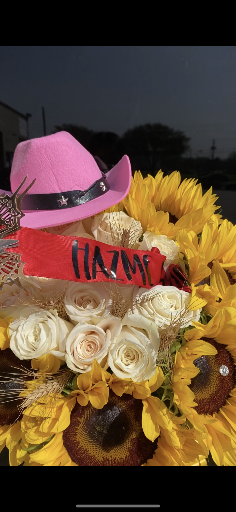 Rodeo Proposal Vaquero with butterfly pull š¤ š¤