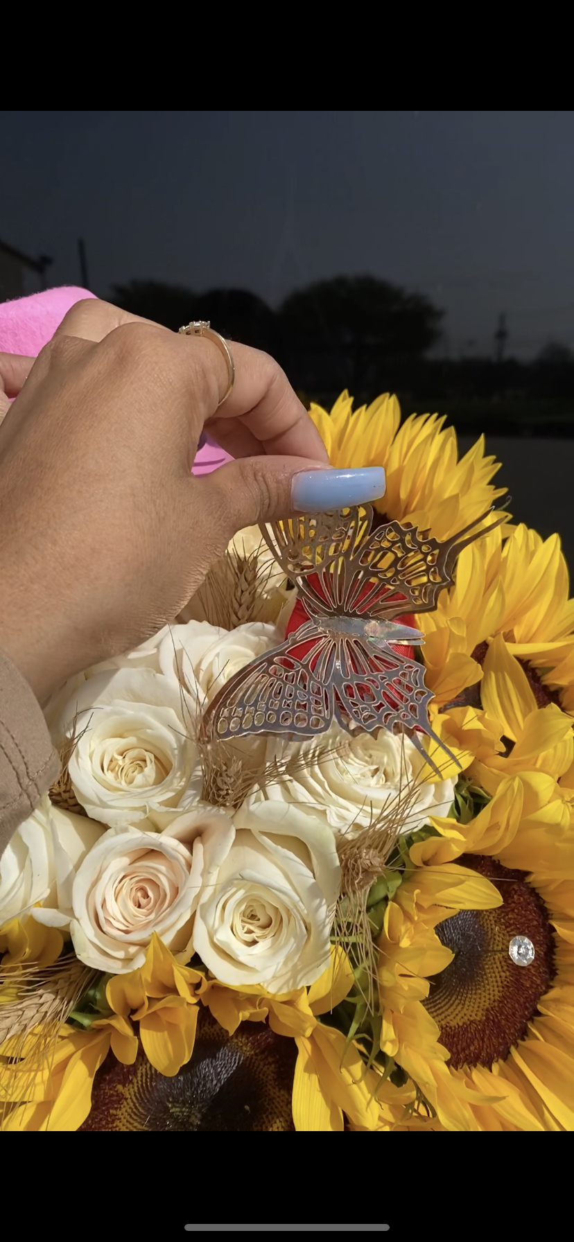 Rodeo Proposal Vaquero with butterfly pull š¤ š¤