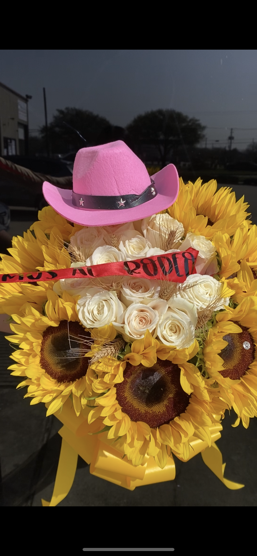 Rodeo Proposal Vaquero with butterfly pull š¤ š¤