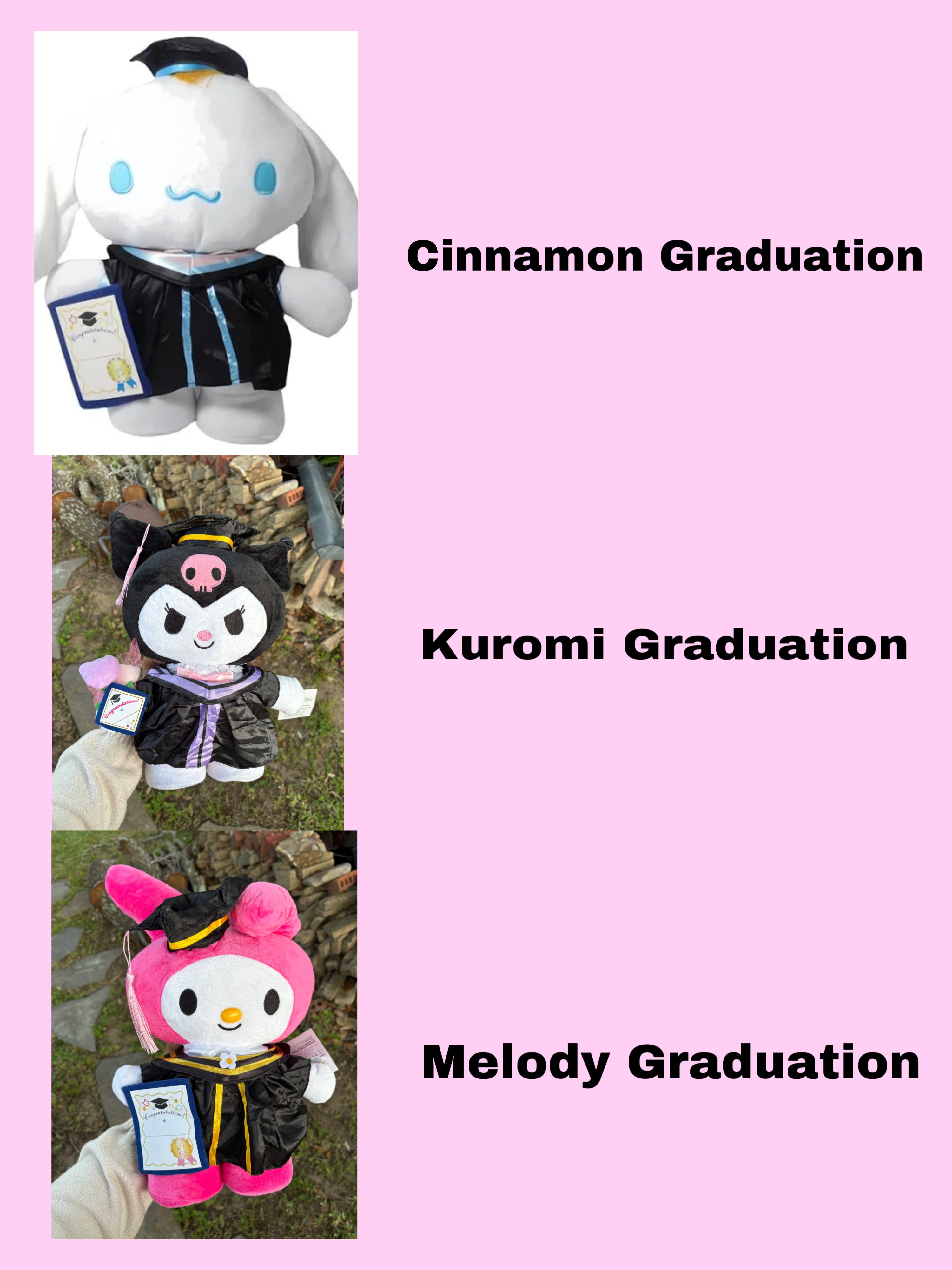 Aesthetic Flat 24 rose + Large Grad Plushy🎓