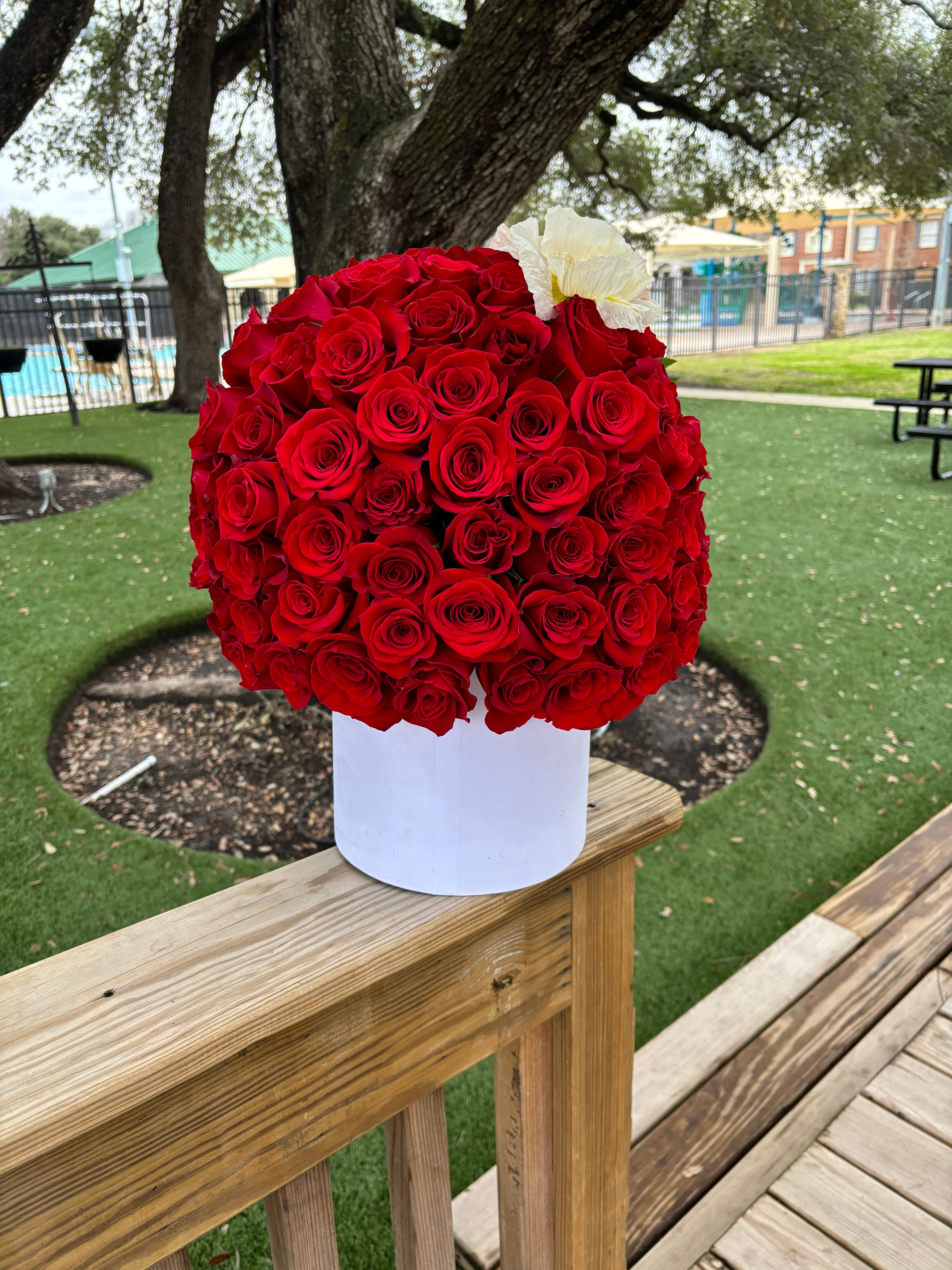75 red Deep Love rose box 🌹