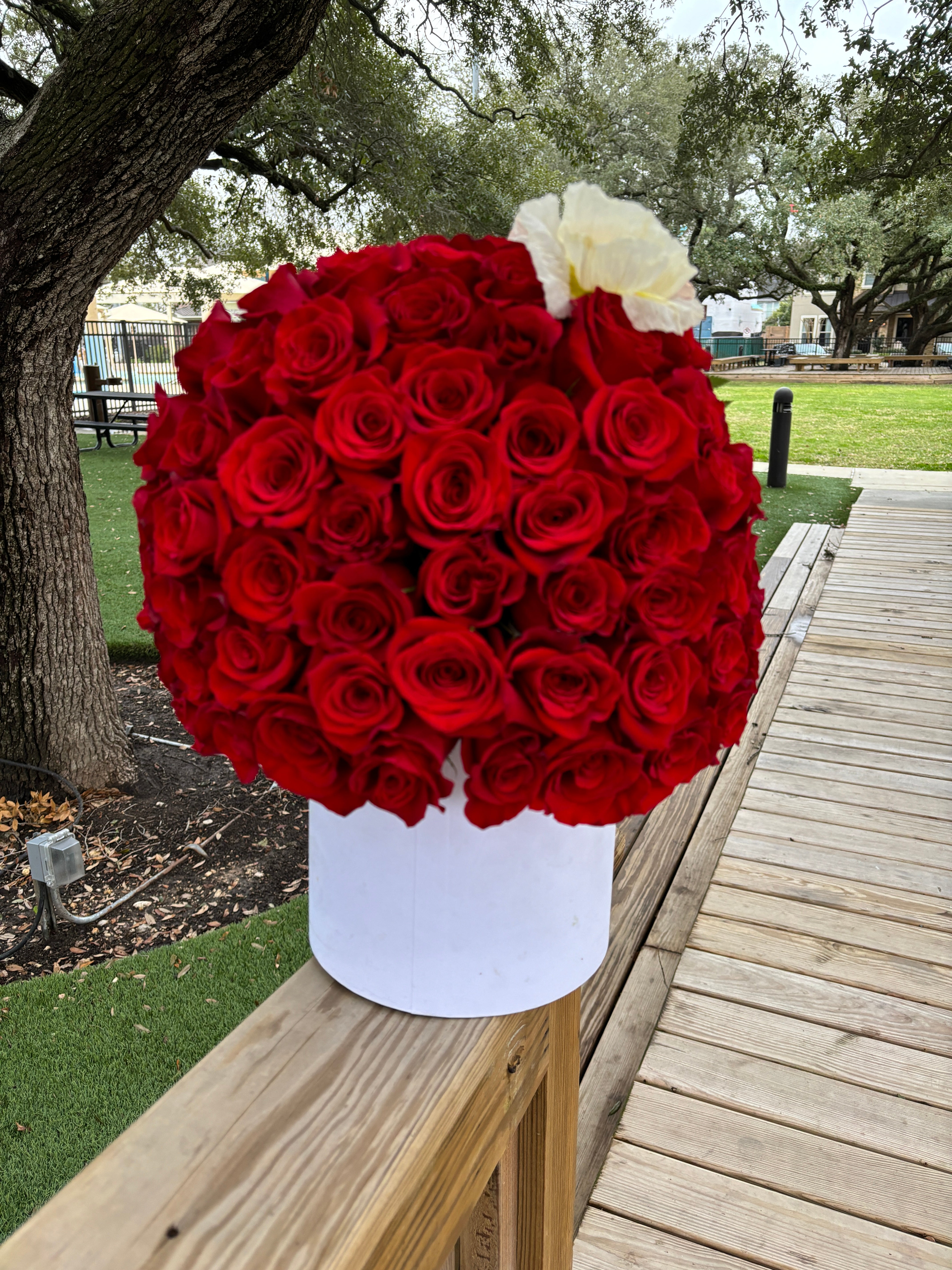 75 red Deep Love rose box 🌹