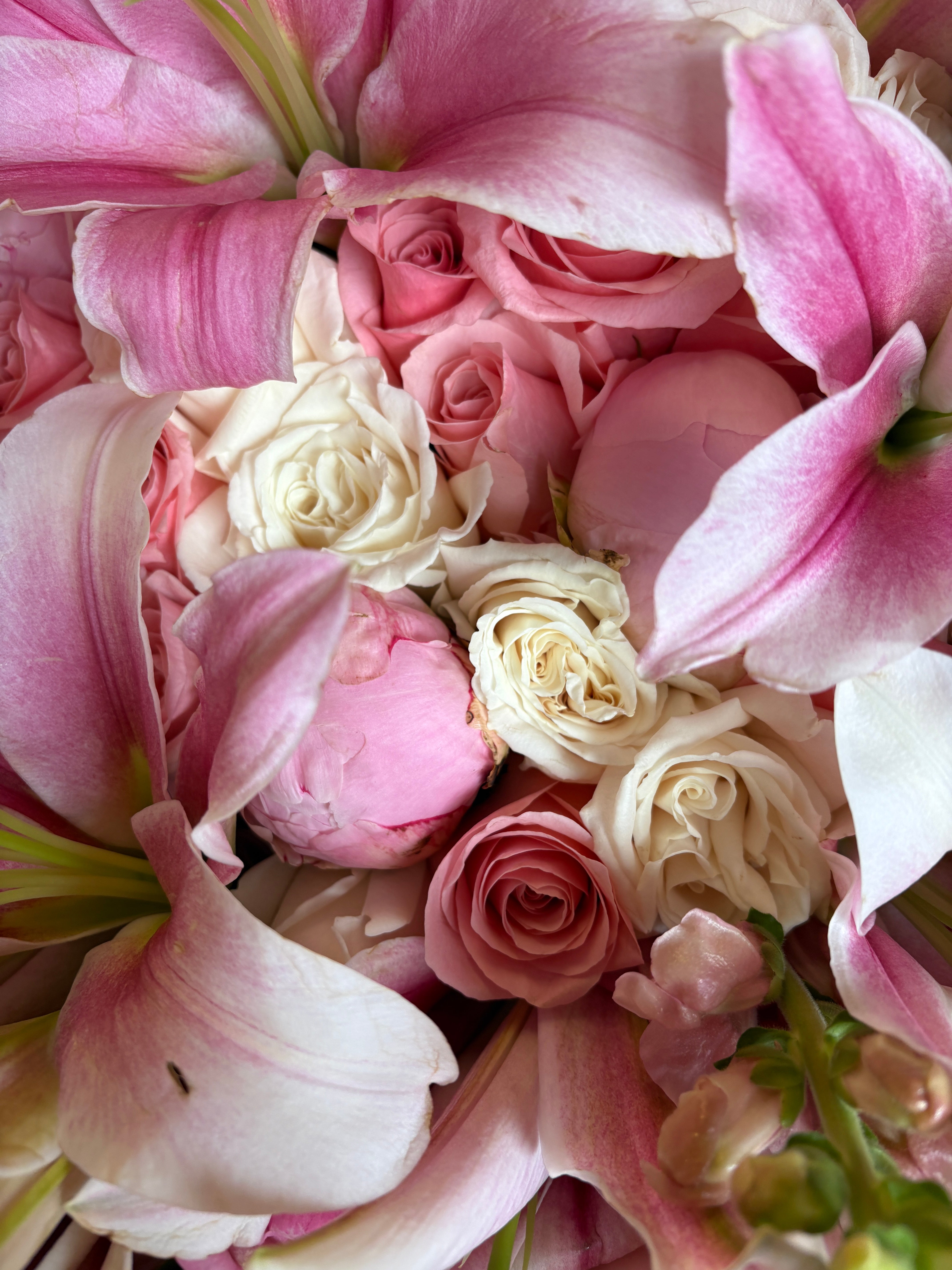 Lily dream + 5 peony 🌺