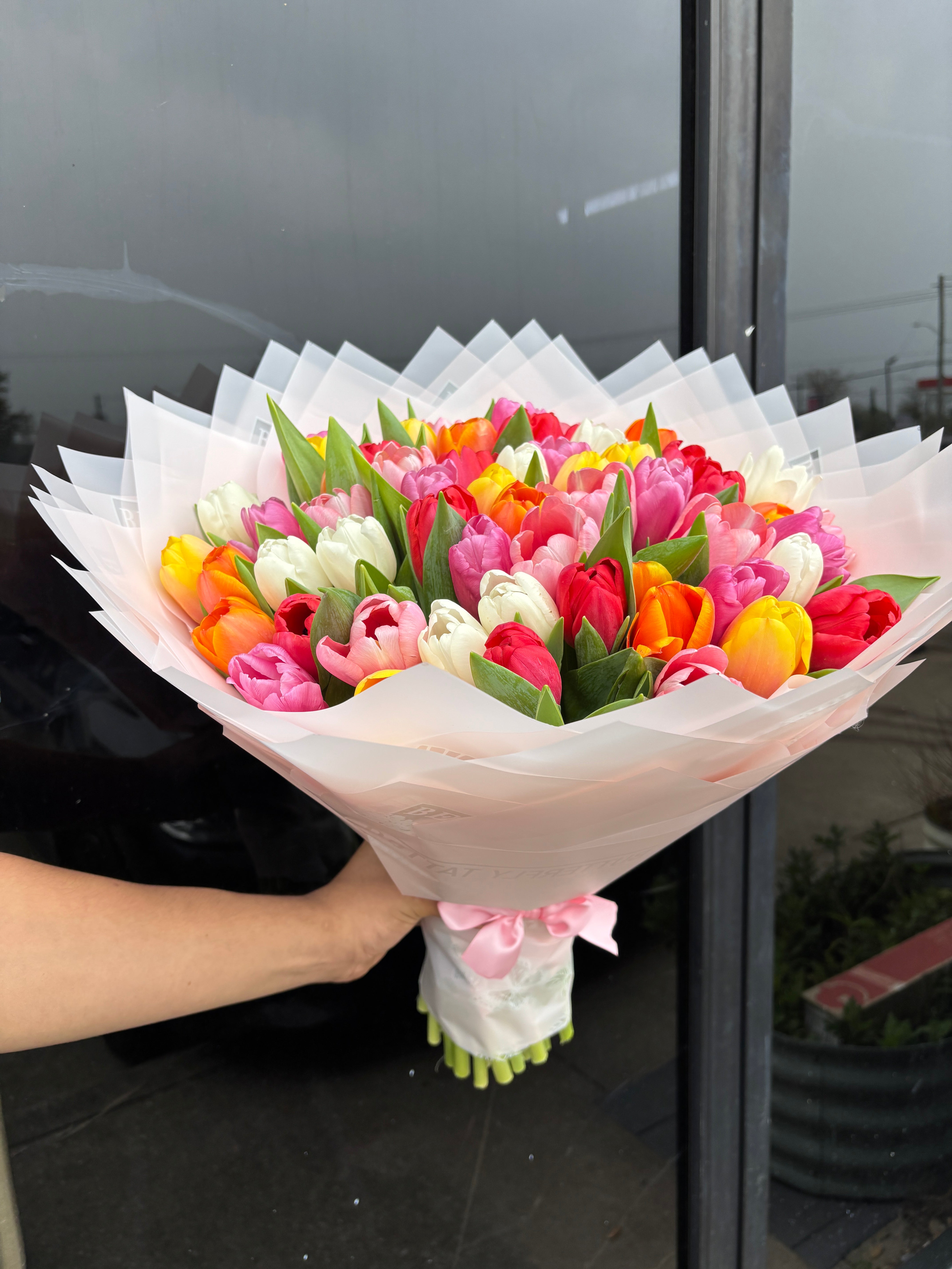 50 large big highest quality tulips 🌷