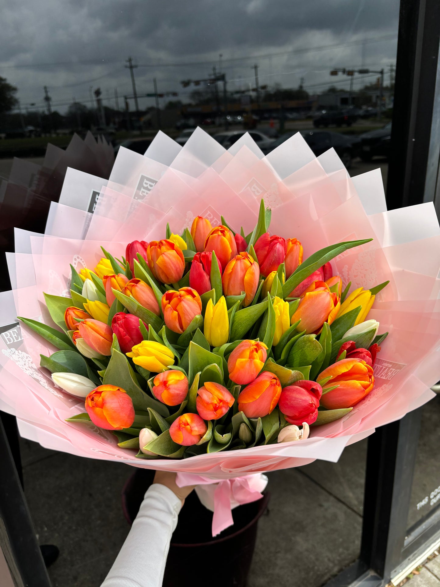 50 large big highest quality tulips 🌷