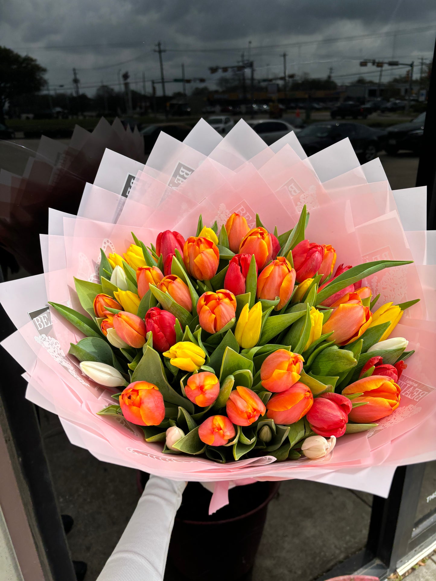 50 large big highest quality tulips 🌷