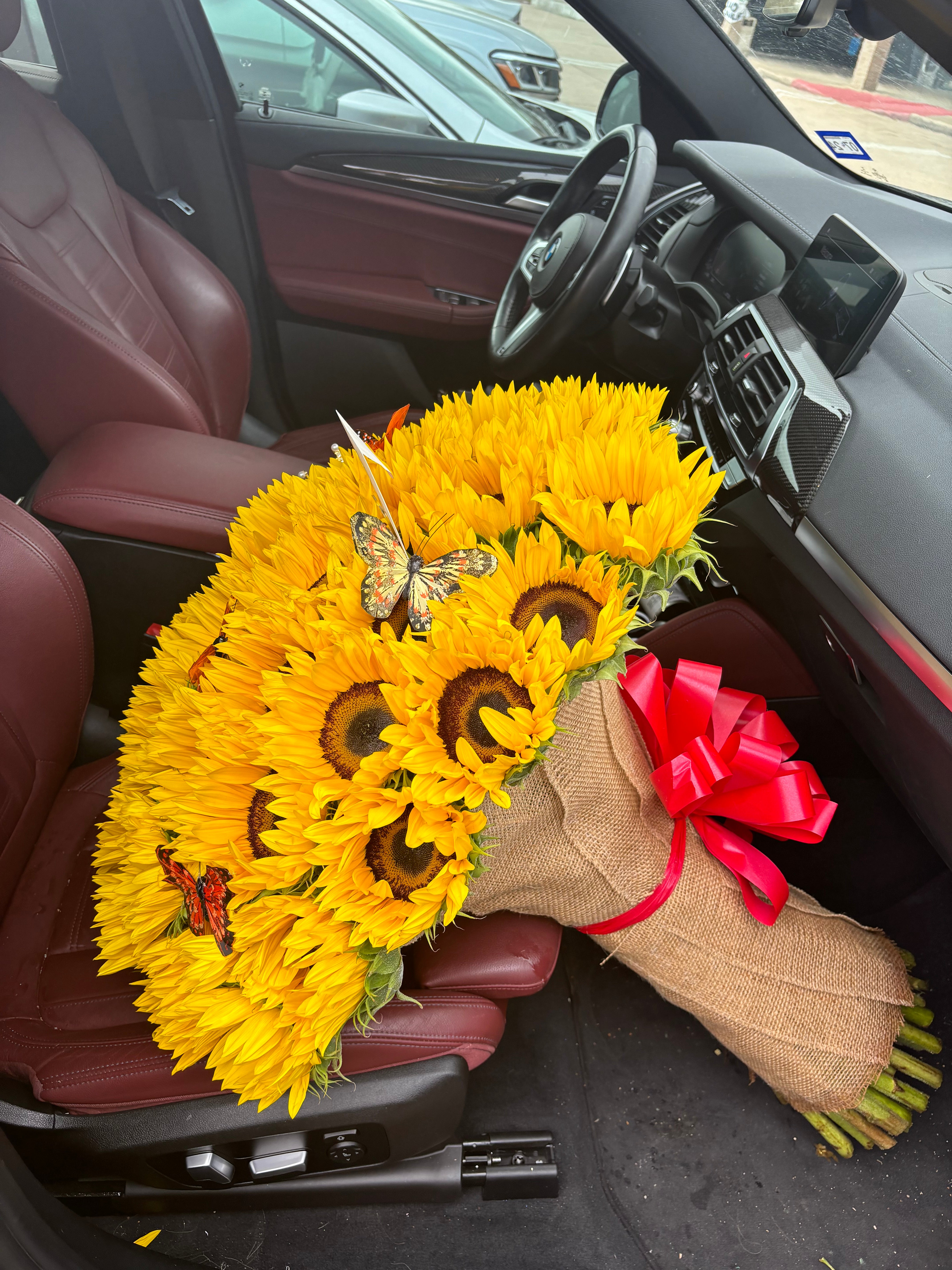 50 sunflowers elegant stems 💕