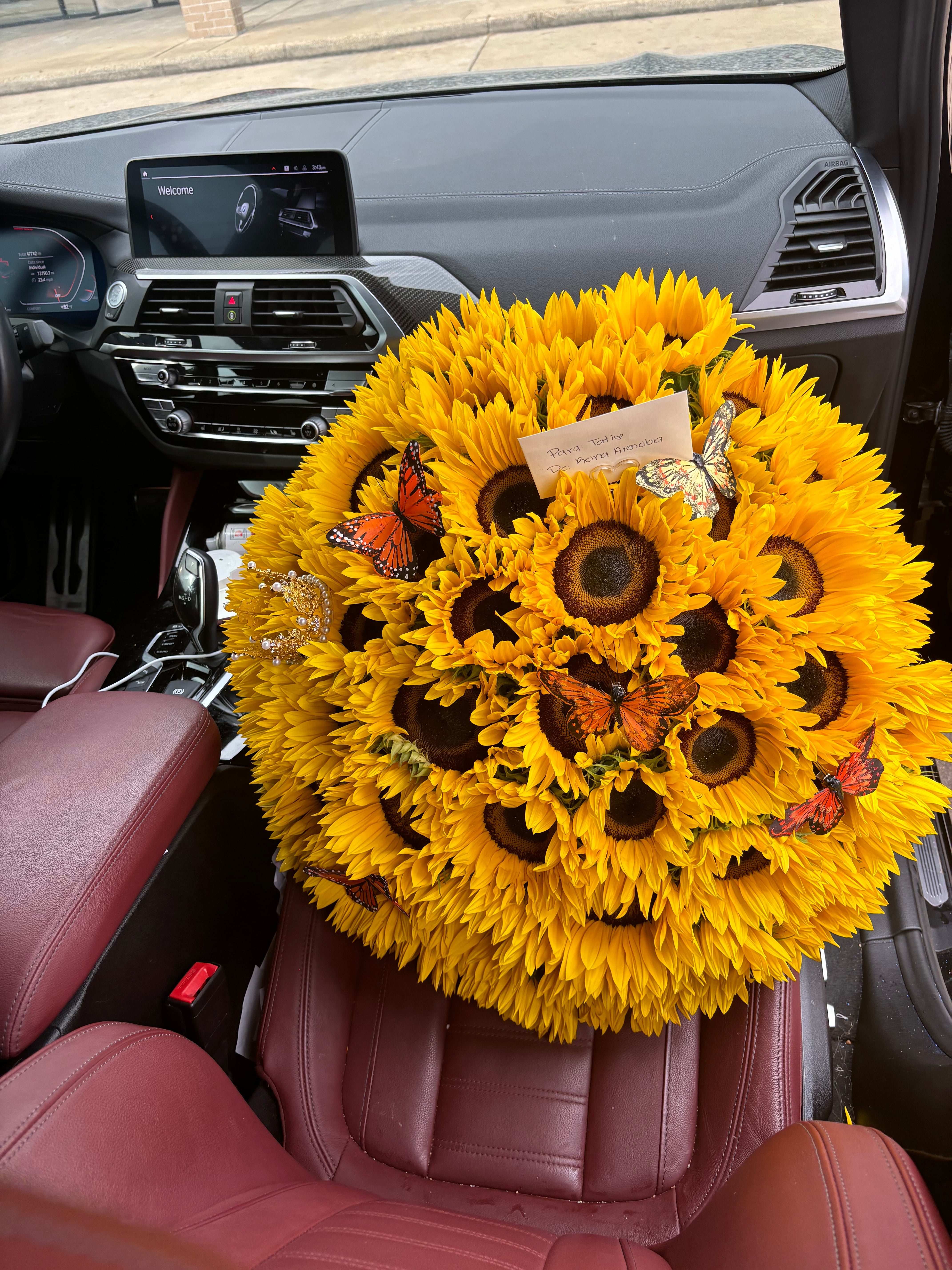 50 sunflowers elegant stems 💕
