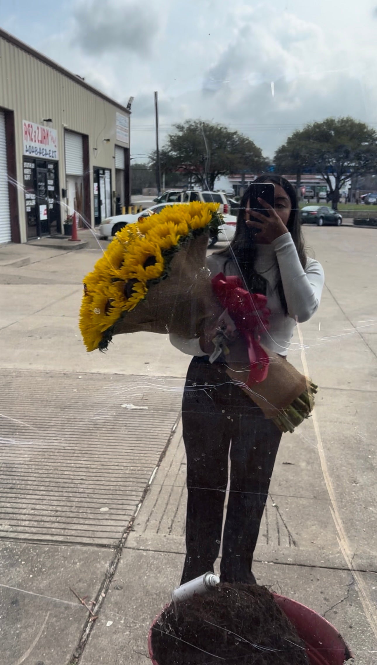 50 sunflowers elegant stems 💕