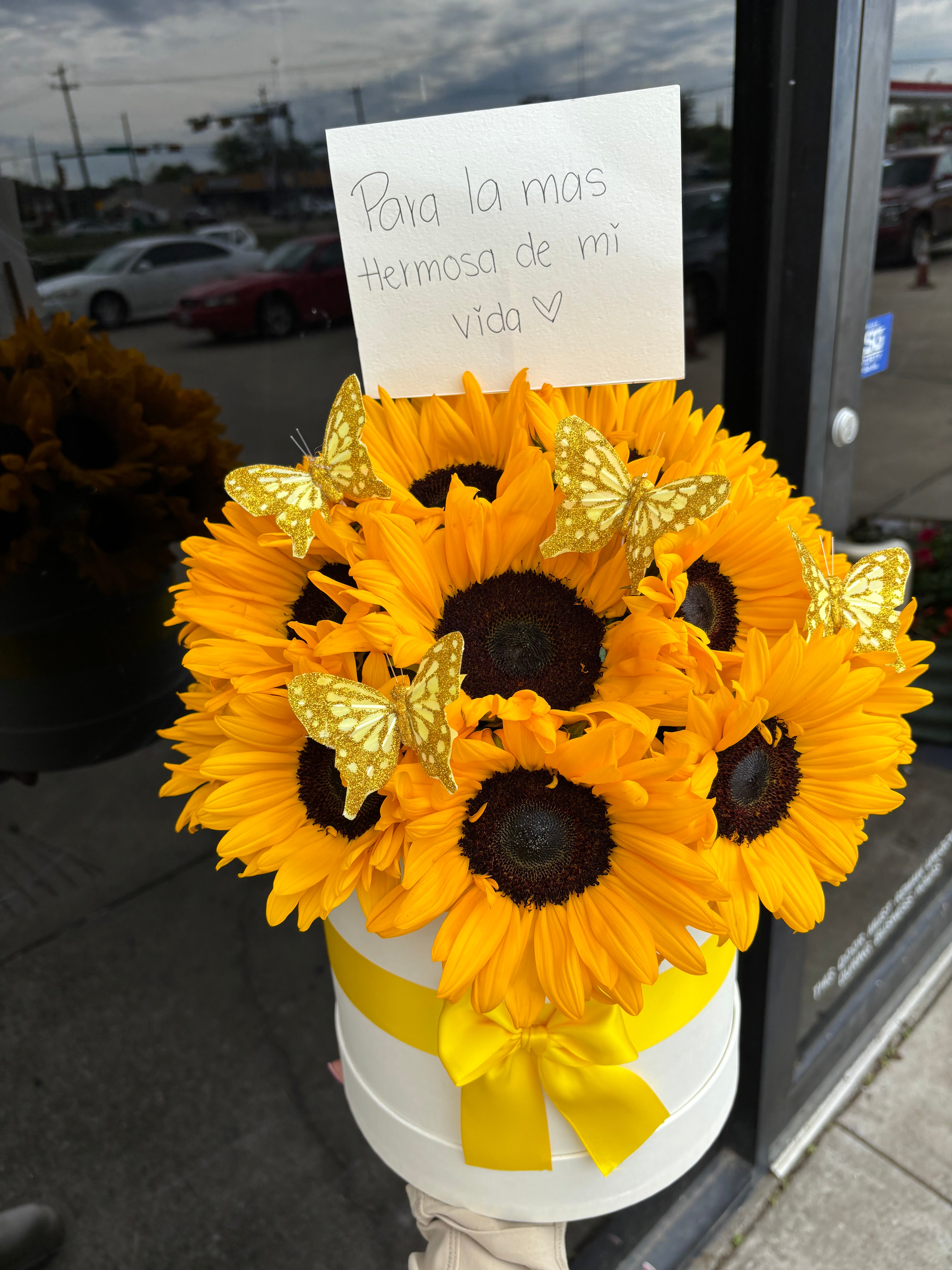 You are my sunshine world 💛🌻