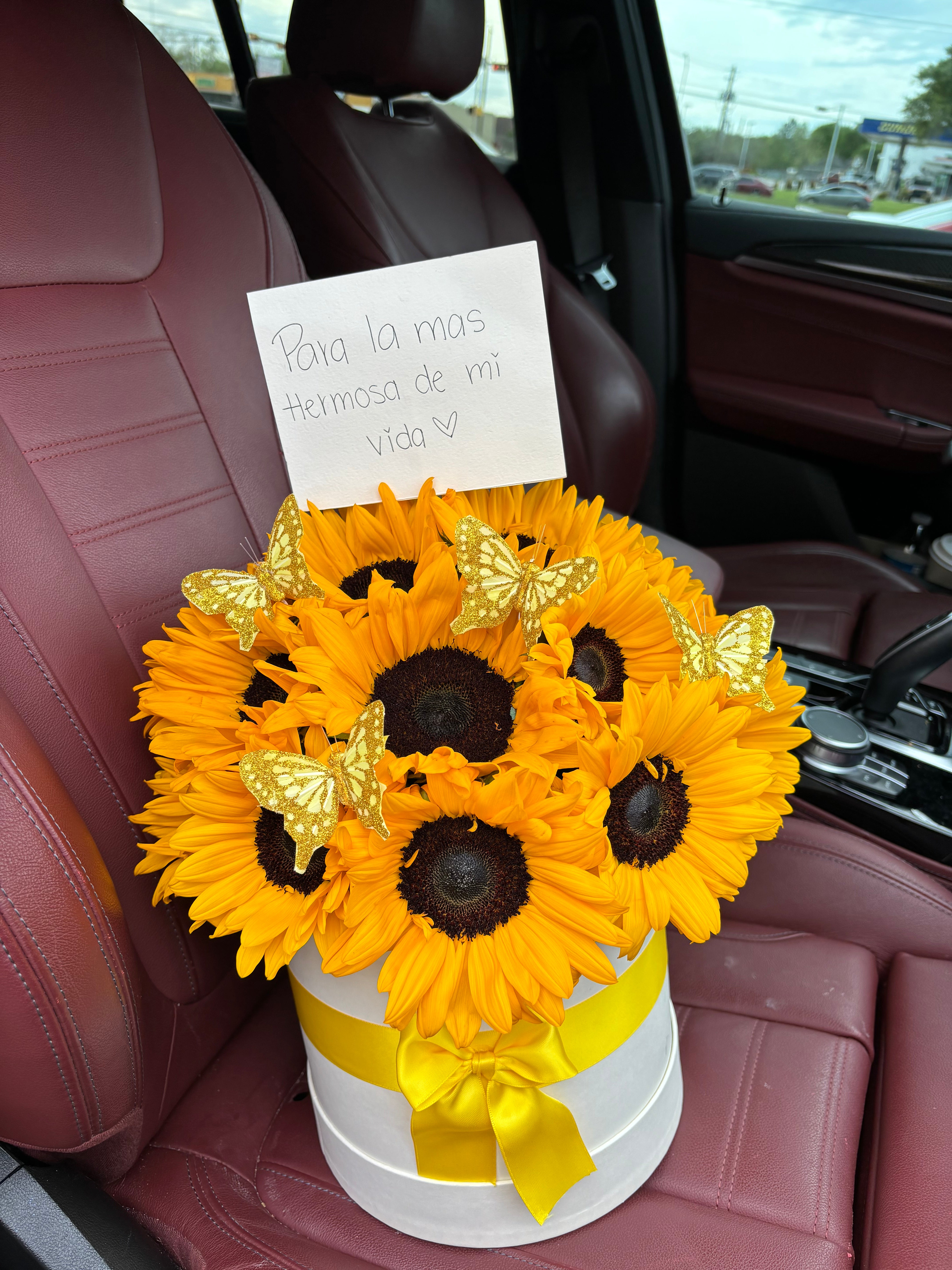 You are my sunshine world 💛🌻