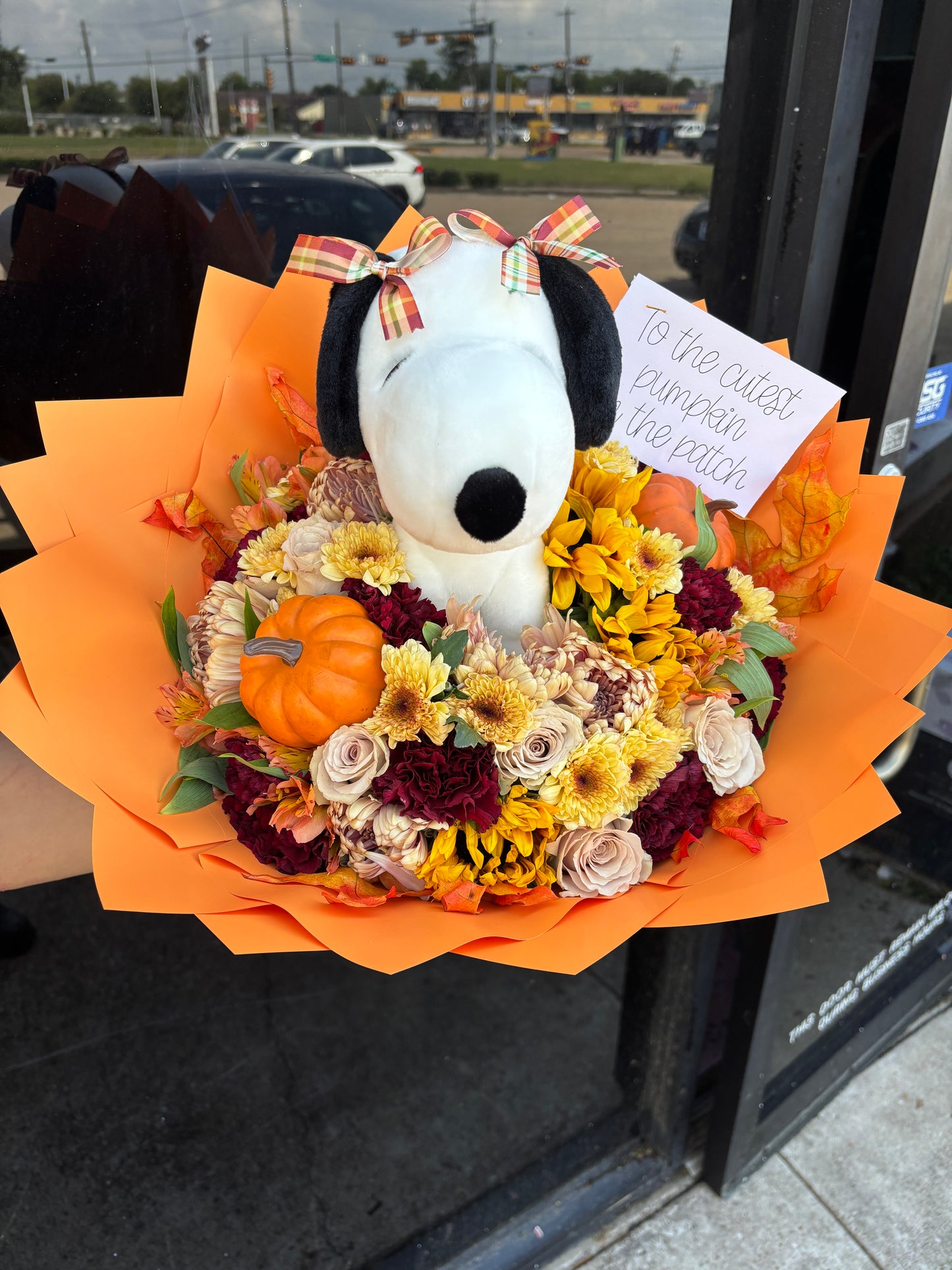 Pumpkin patch garden snoopy🍂🤎