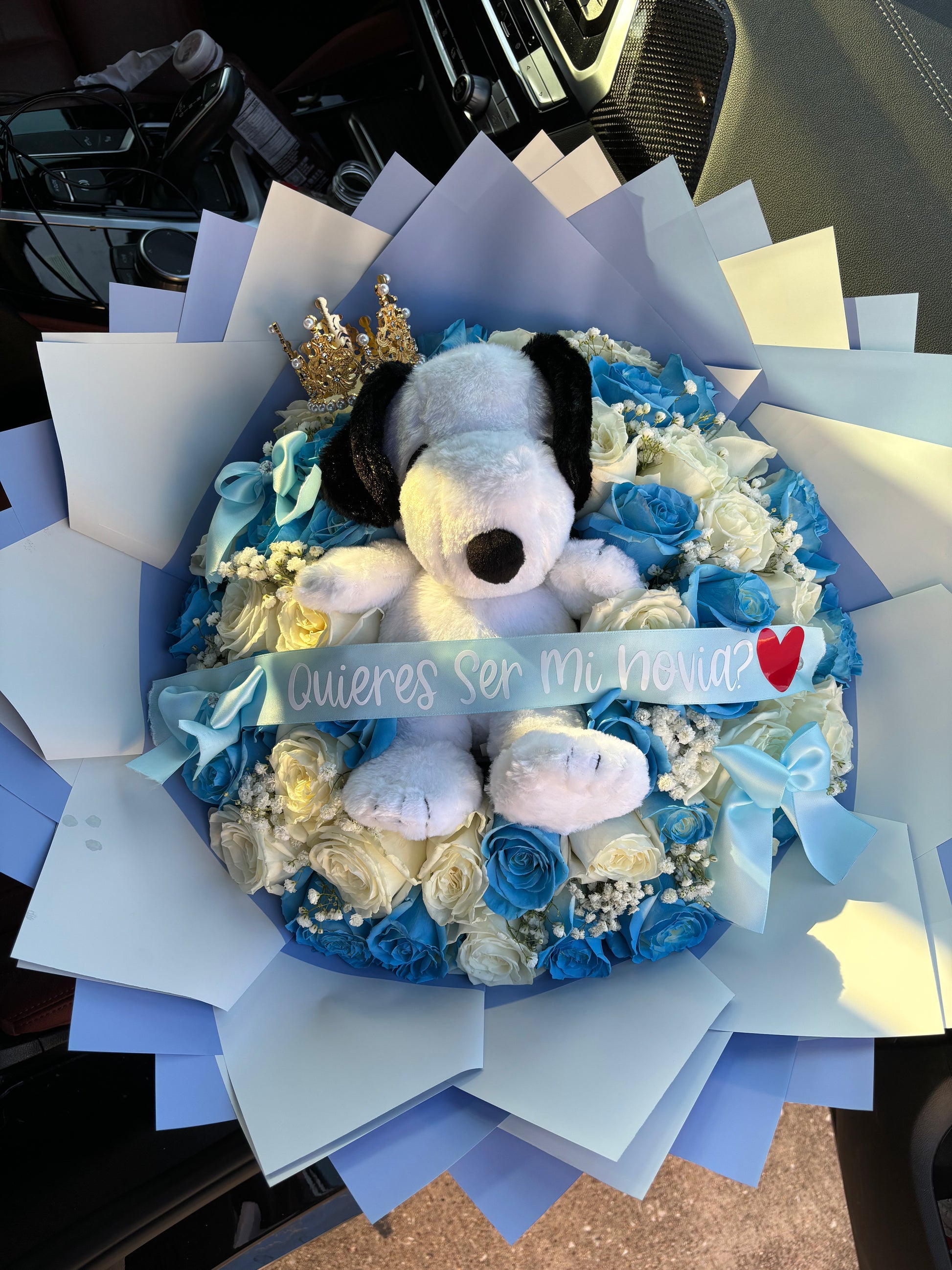 50 rose snoopy bouquet for my princess – Bouquets By Ruby Htx