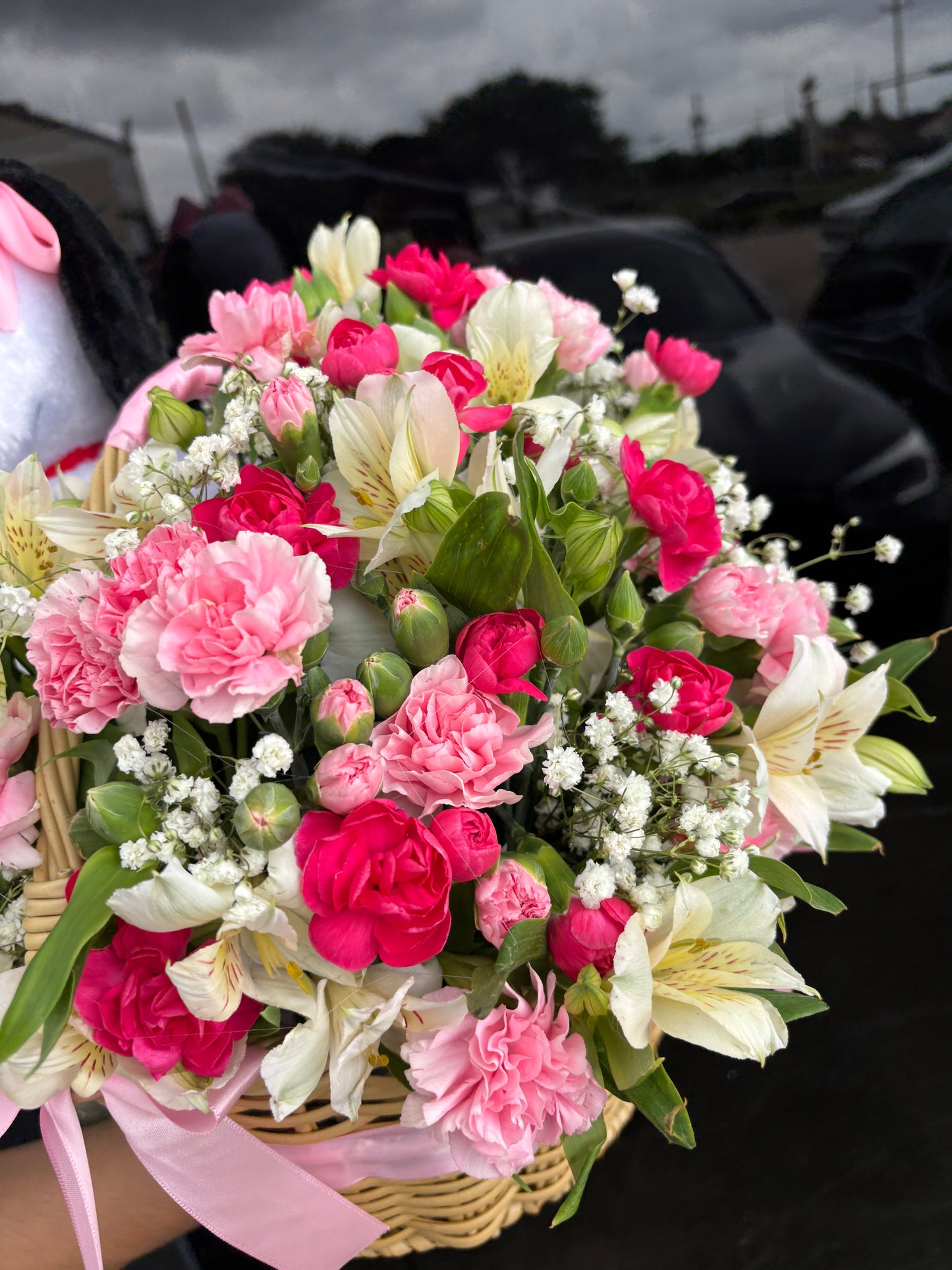 Snoopy Pink Coquette Garden🎀💝🌸