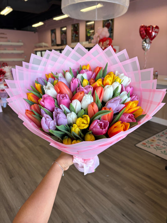 50 large big highest quality tulips 🌷