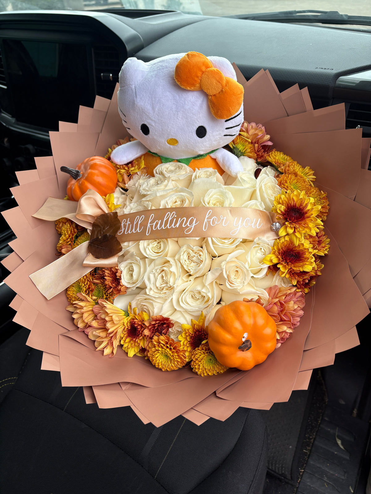 Hello kitty falling for you 🍂🤎
